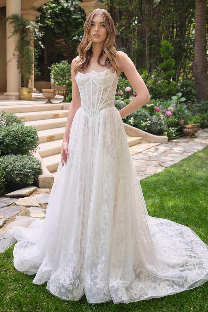Lace Sleeveless Bridal Gown by Ladivine WL069