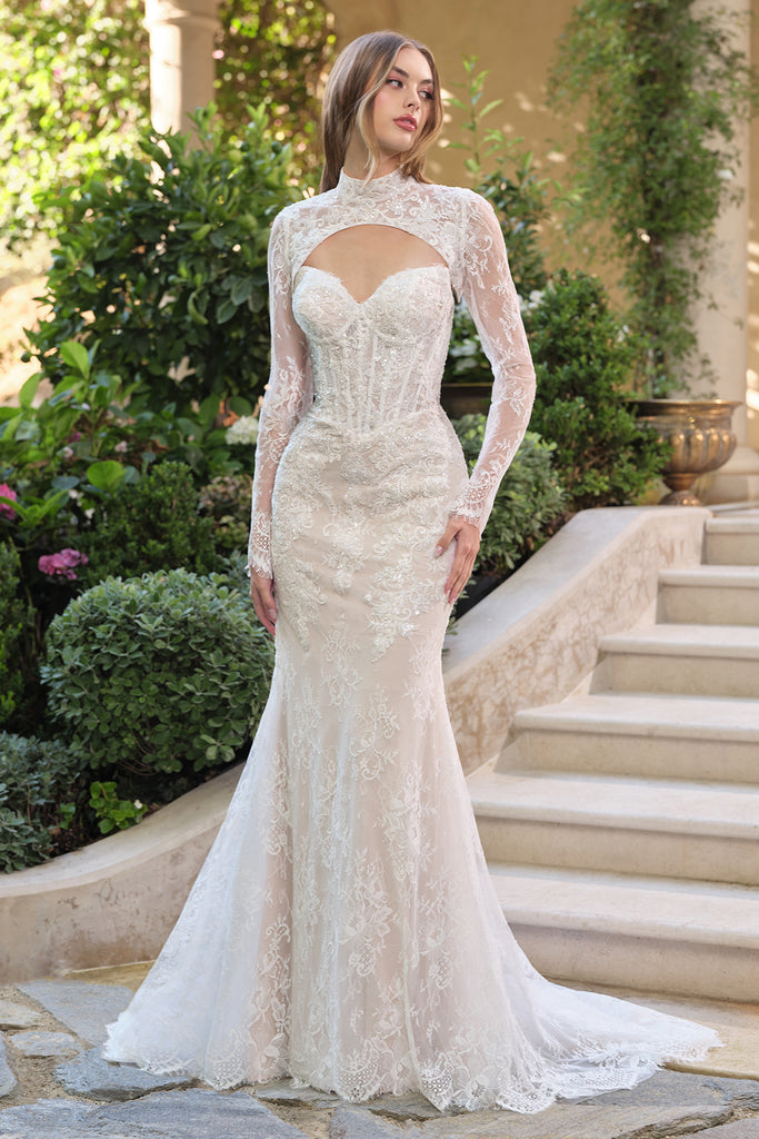 nightingales lace dress and bolero DreamDress By PMN Eliz Wedding Cape High Collar Couture Beaded Lace Long Sleeves