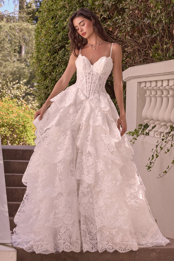 Lace Sleeveless Layered Bridal Gown by Ladivine WL076