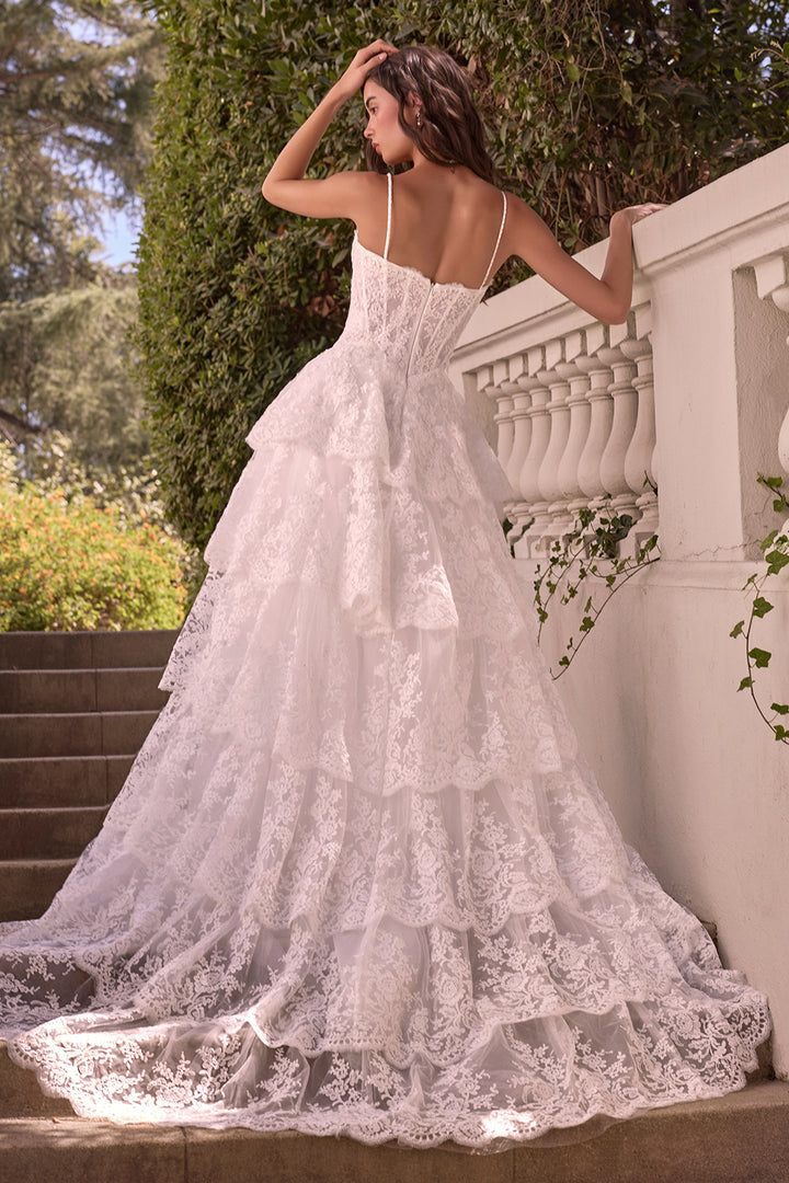 Lace Sleeveless Layered Bridal Gown by Ladivine WL076