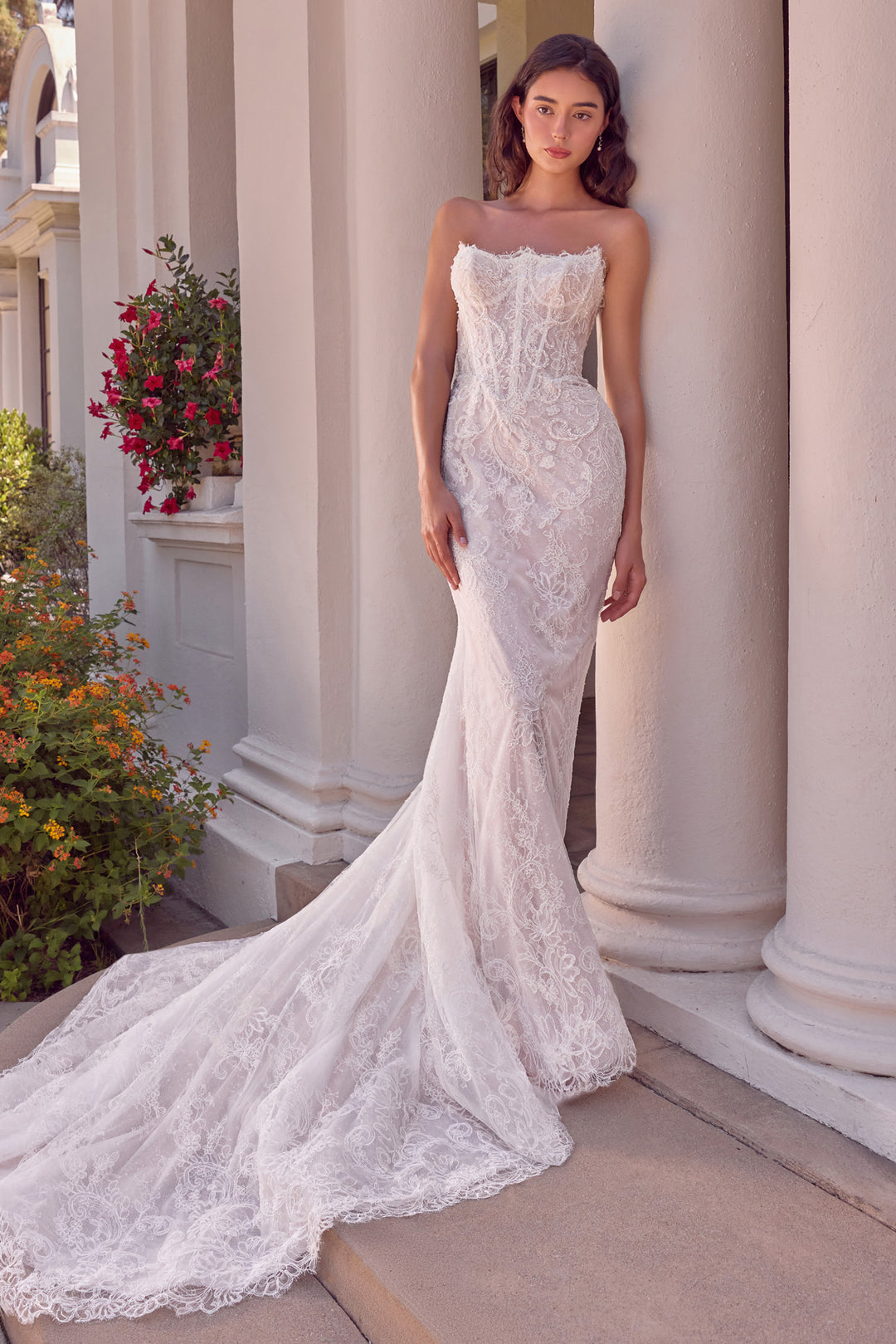 Lace Bridal Mermaid Dress by Ladivine WL080