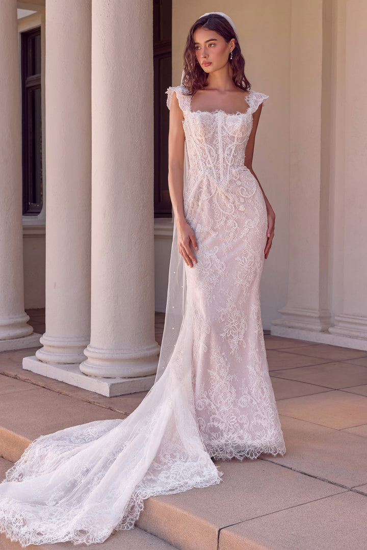 Lace Bridal Mermaid Dress by Ladivine WL080