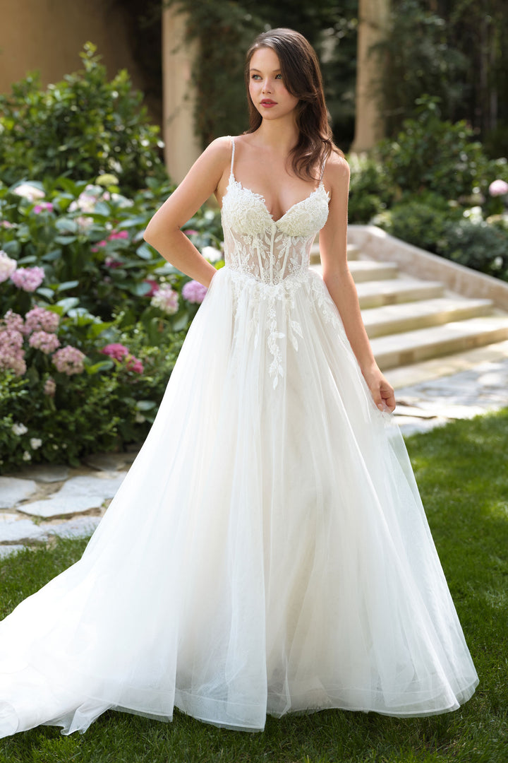 Applique V-Neck Bridal Gown by Ladivine WL087