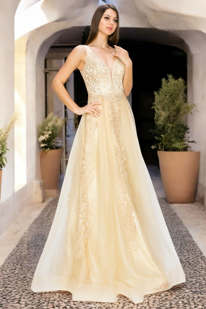 Applique Illusion V-Neck Gown by Cinderella Couture 8029J