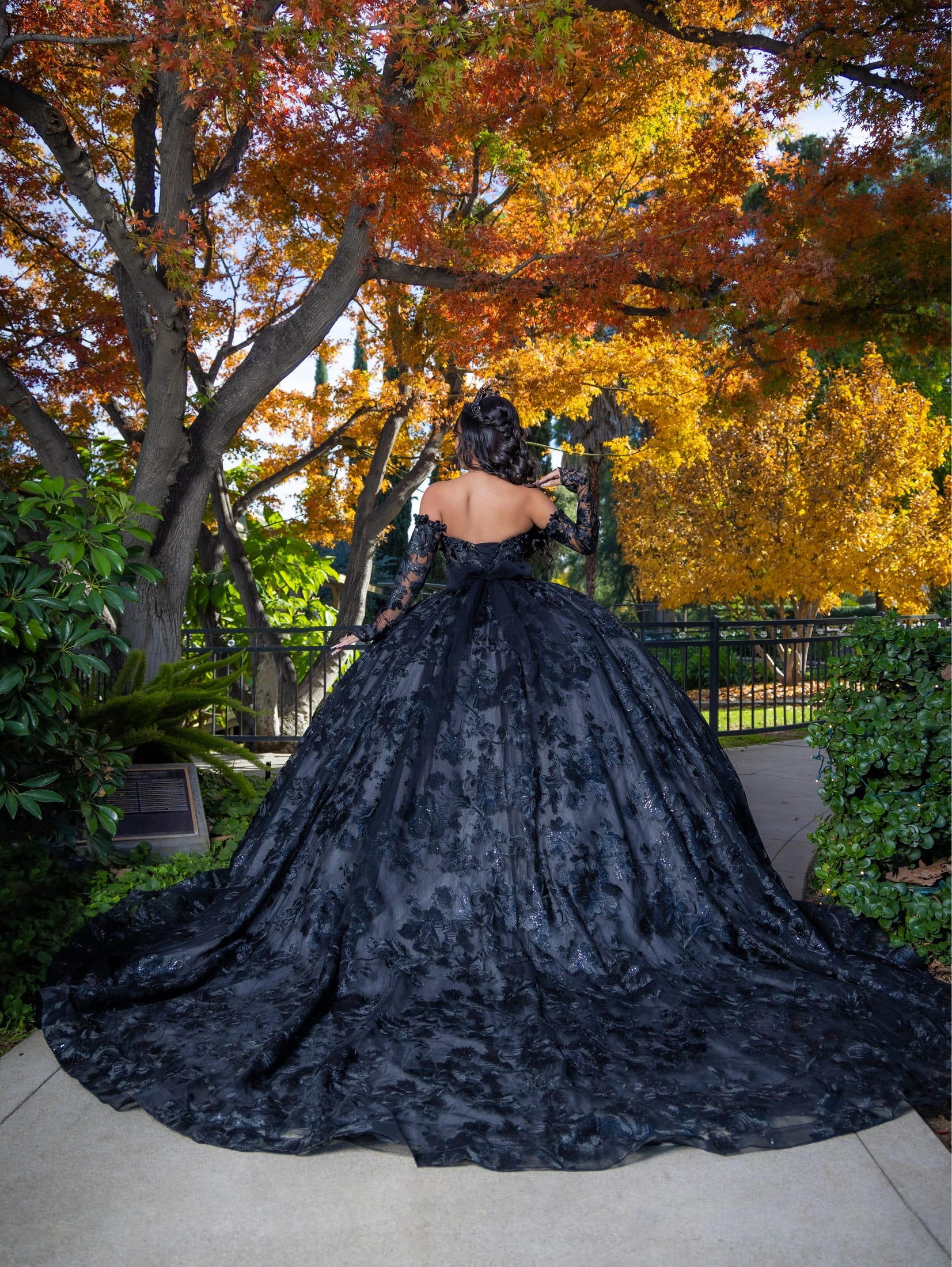 Applique Long Sleeve Ball Gown by LizLuo Quince 26092 – ABC Fashion