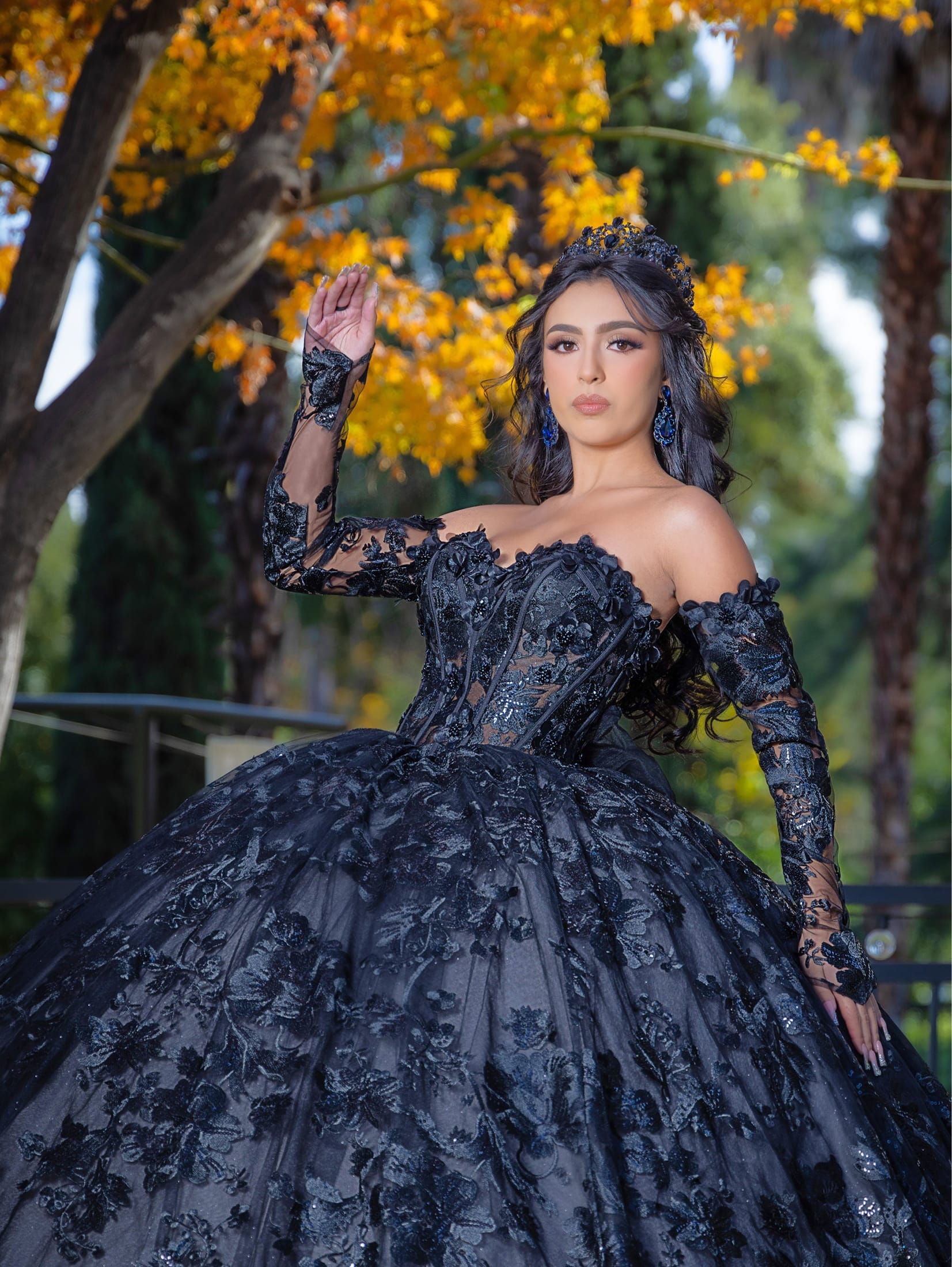 Applique Long Sleeve Ball Gown by LizLuo Quince 26092 – ABC