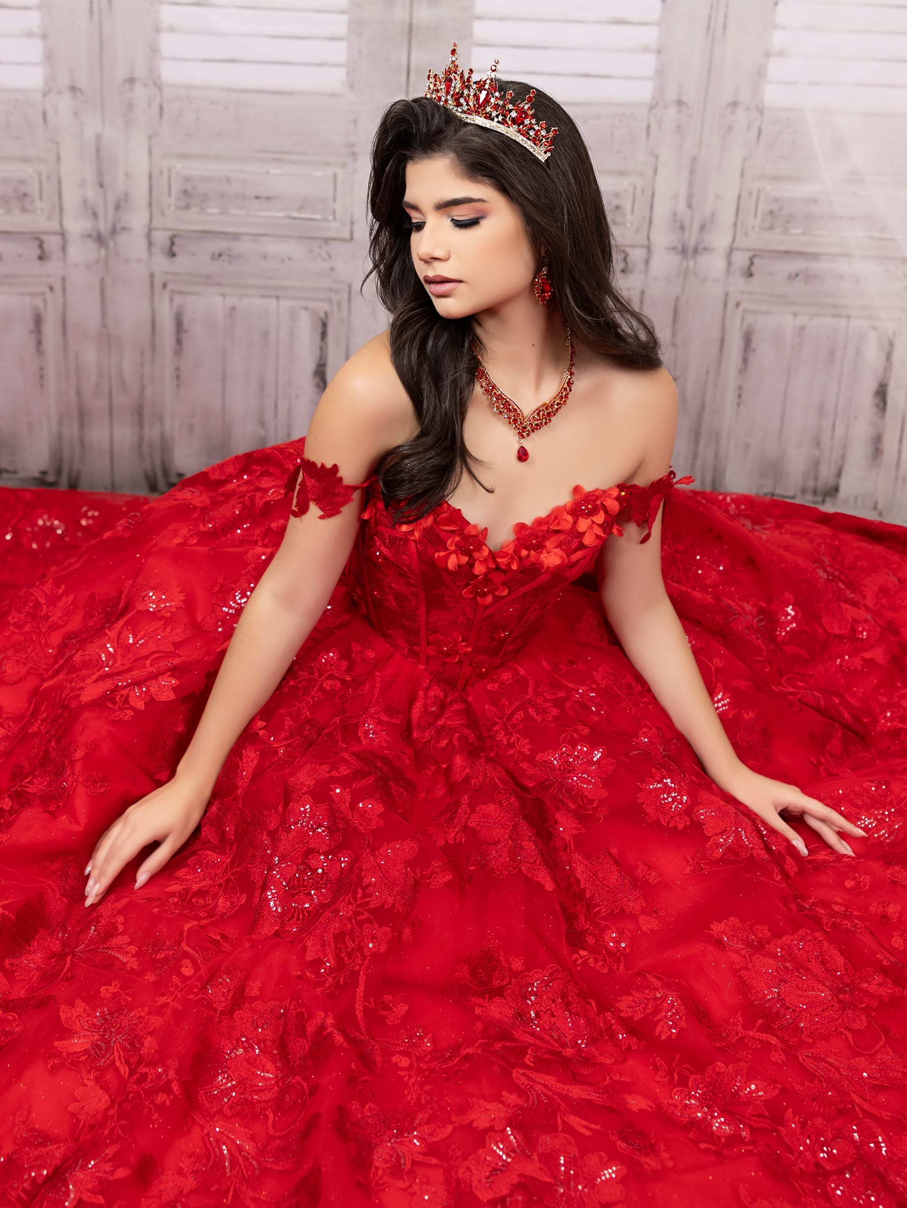 Applique Long Sleeve Ball Gown by LizLuo Quince 26092 – ABC Fashion