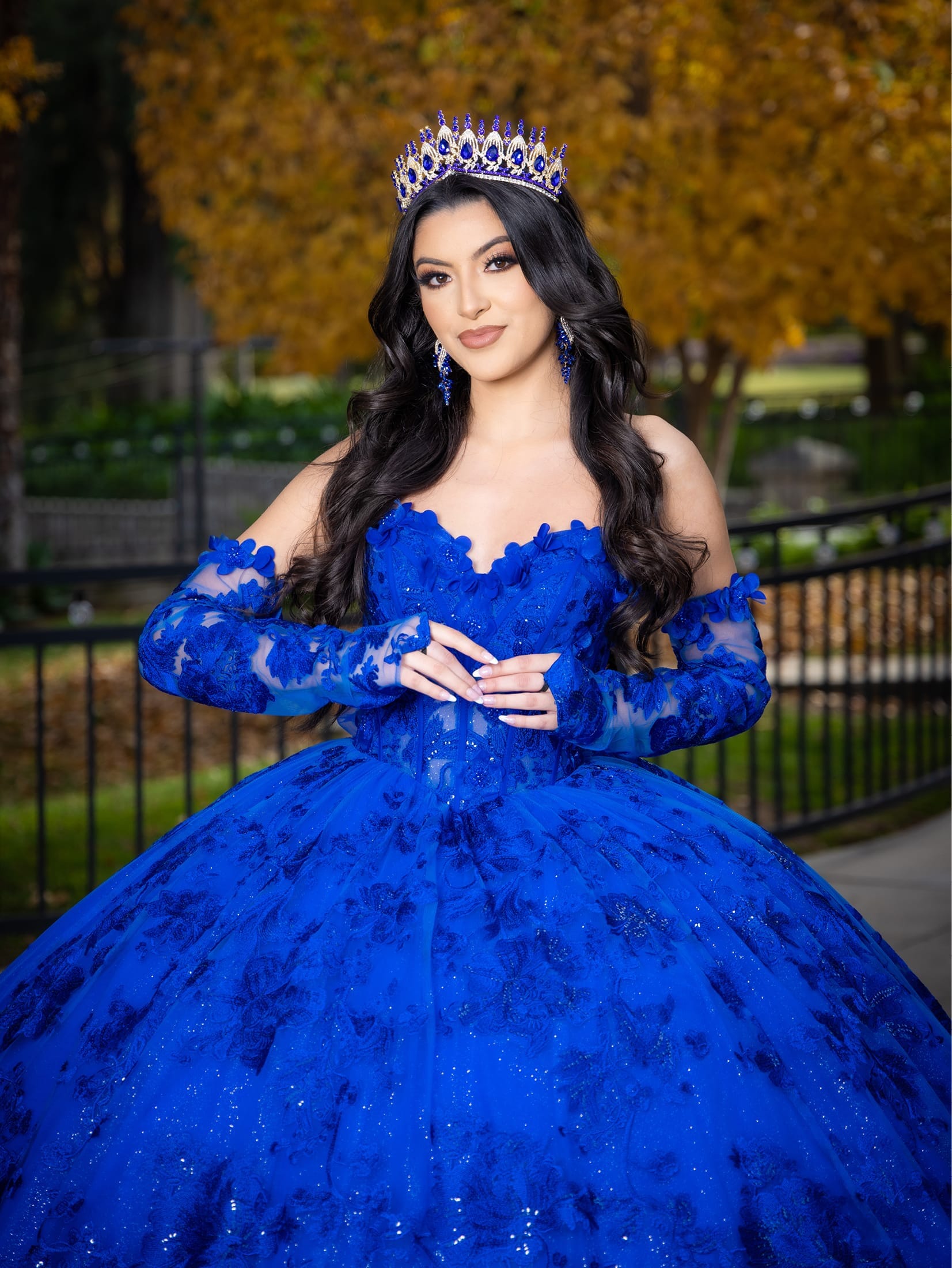 Applique Long Sleeve Ball Gown by LizLuo Quince 26092 – ABC Fashion
