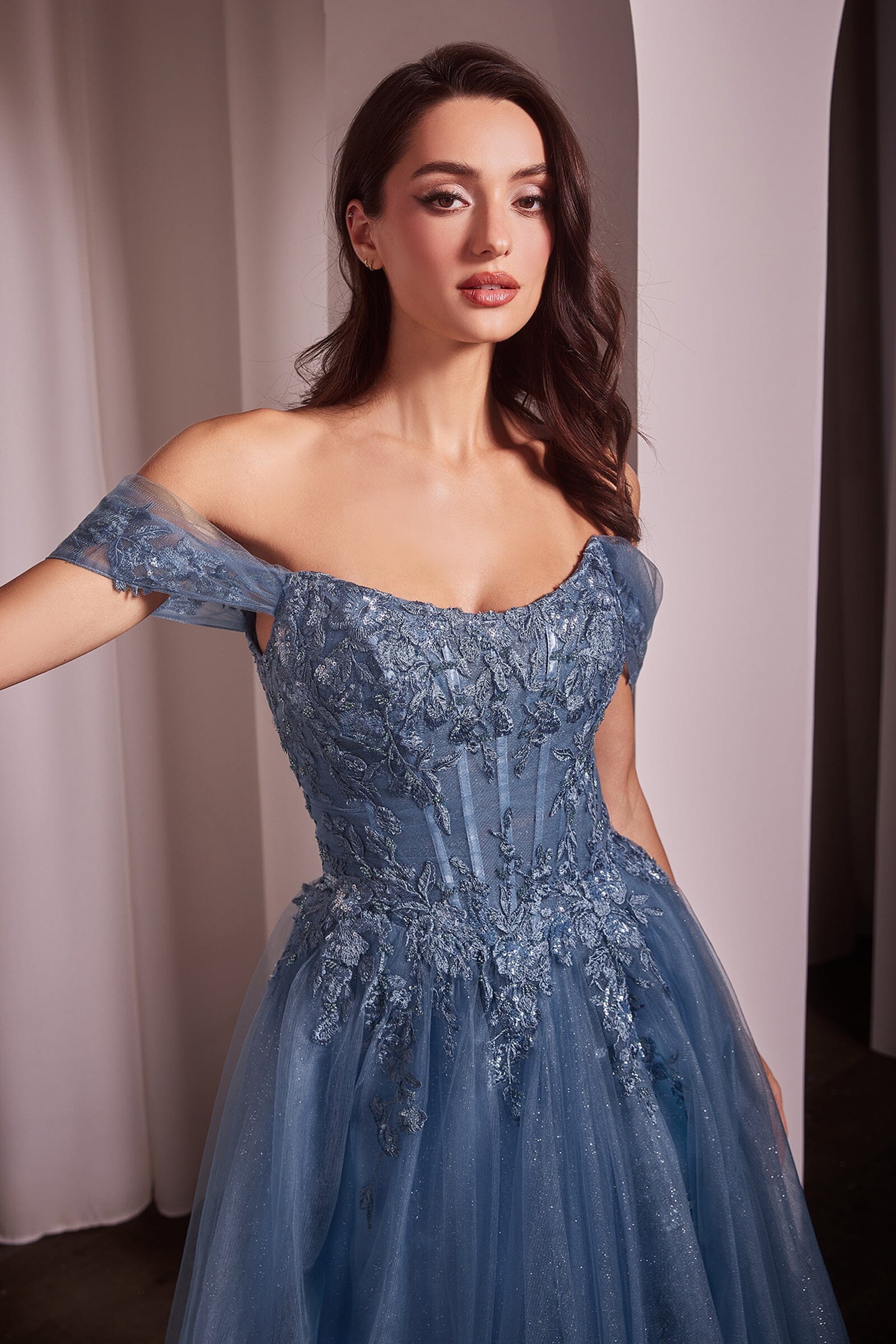 Applique Off Shoulder A-line Gown by Ladivine CD799 – ABC Fashion