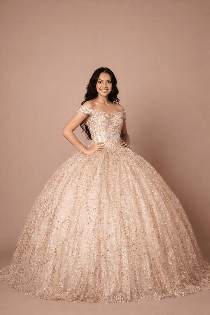 Applique Off Shoulder Cape Ball Gown by Calla SCL-30003