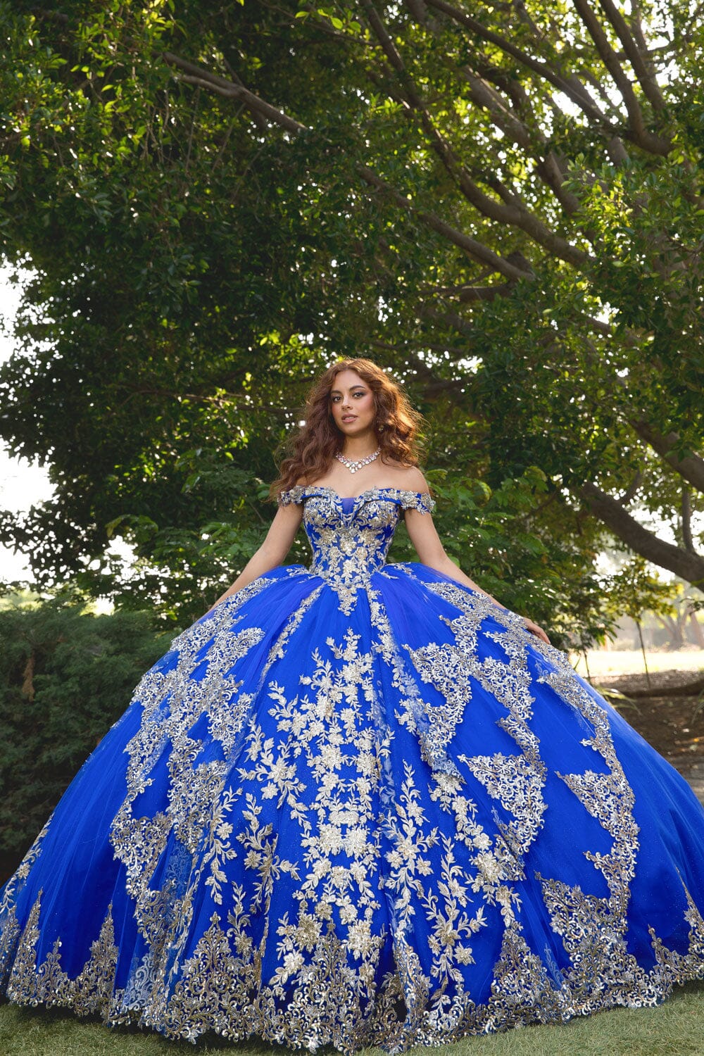 Applique Off Shoulder Corset Ball Gown by Petite Adele PQ1055