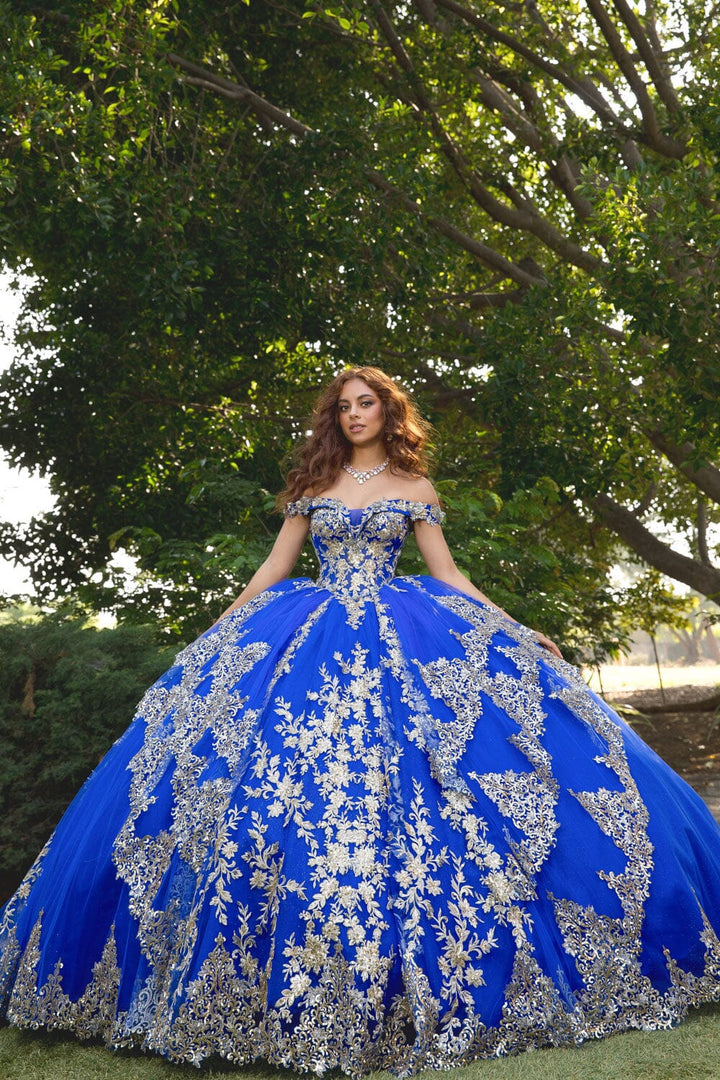 Applique Off Shoulder Corset Ball Gown by Petite Adele PQ1055