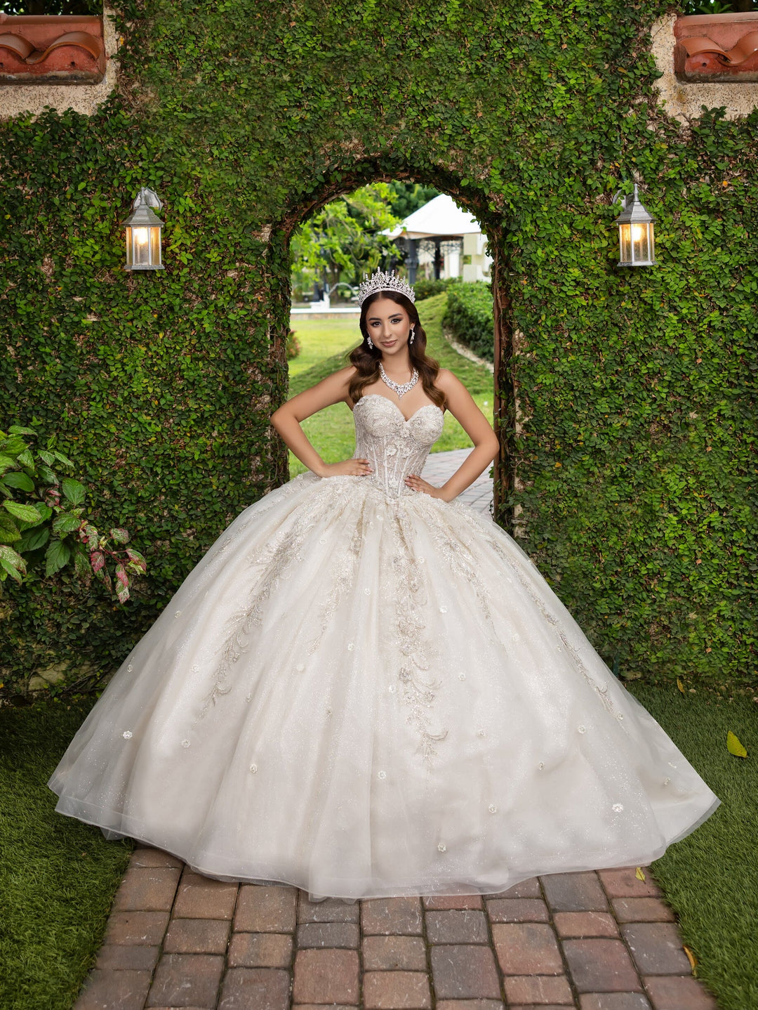 Applique Strapless Ball Gown by LizLuo Fiesta 56532 2 / Dusty Rose