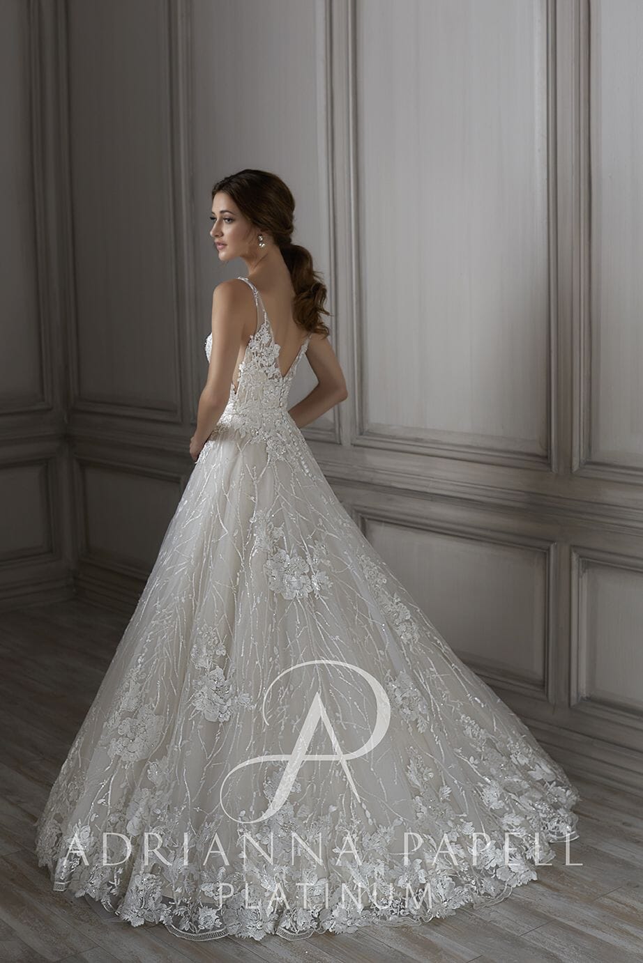 Applique V-Neck Wedding Dress by Adrianna Papell 31076 Louisa
