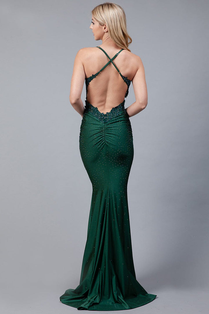 Beaded Applique Sleeveless Gown by Amelia Couture TM1001 - Outlet