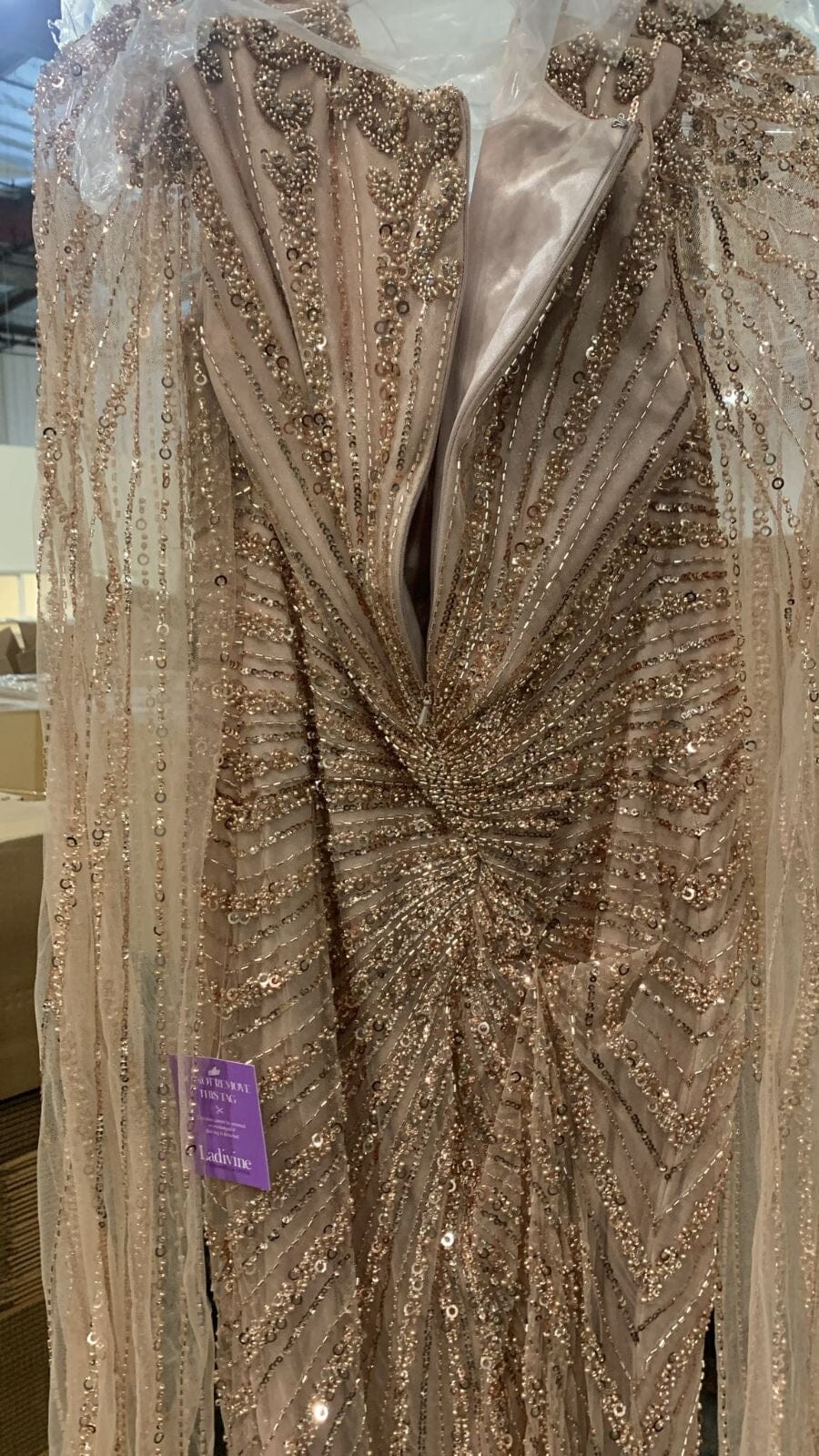 Beaded Cape Sleeve Slit Gown by Ladivine CD0239