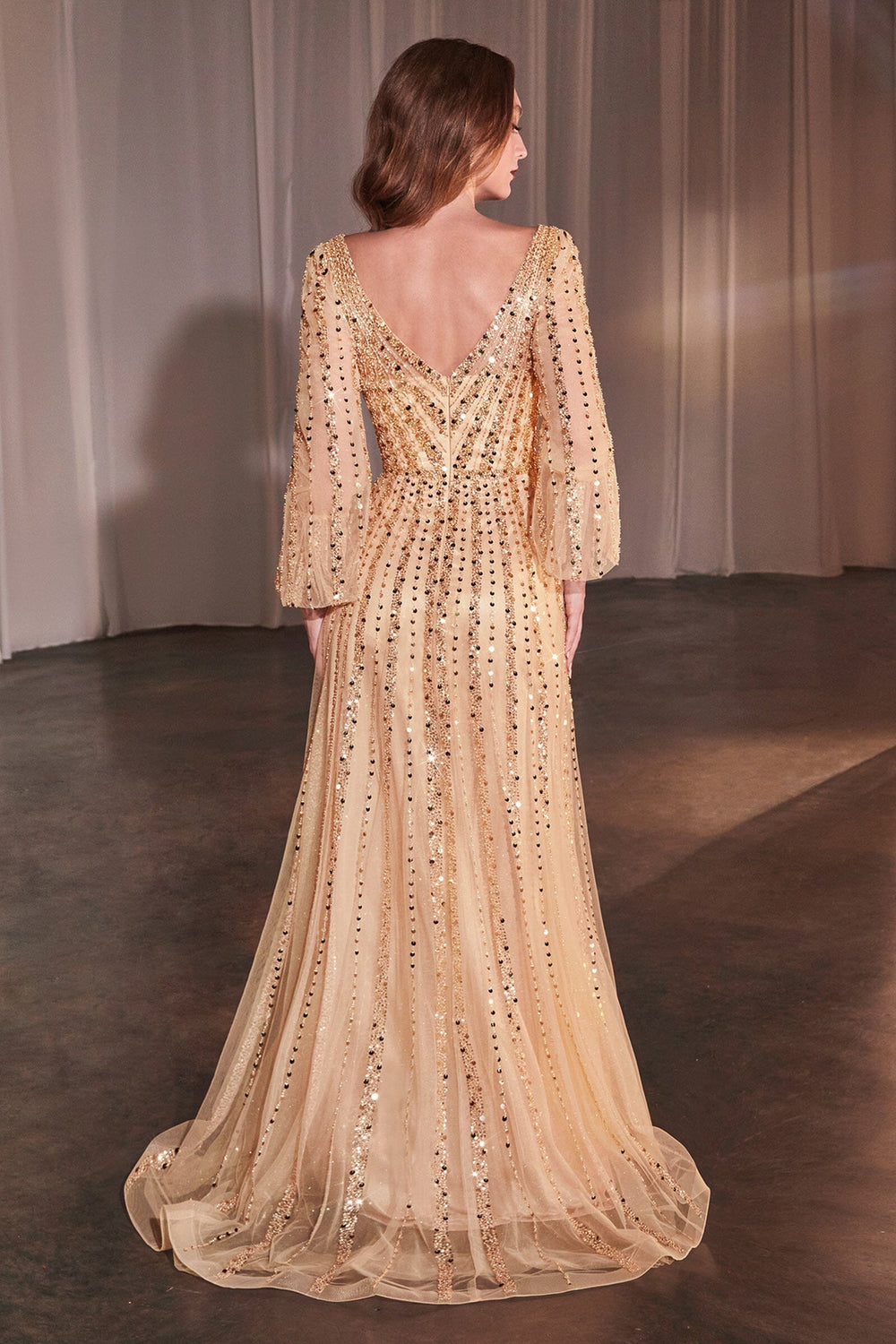 Beaded Long Sleeve A-line Gown by Ladivine CD0240 – ABC Fashion