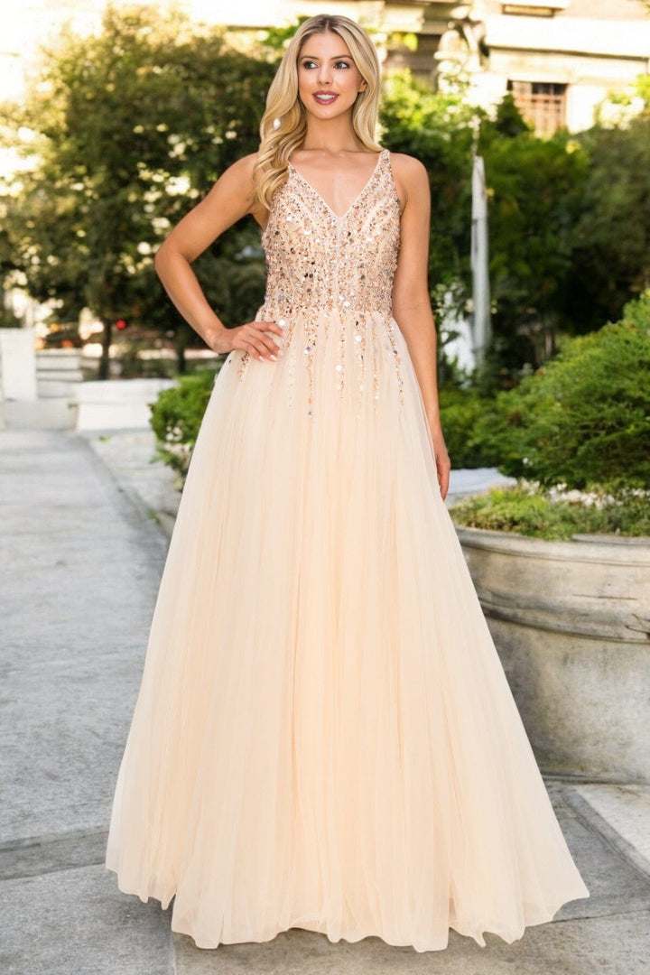 Beaded Long V-Neck Tulle Dress by Cinderella Couture 8034J