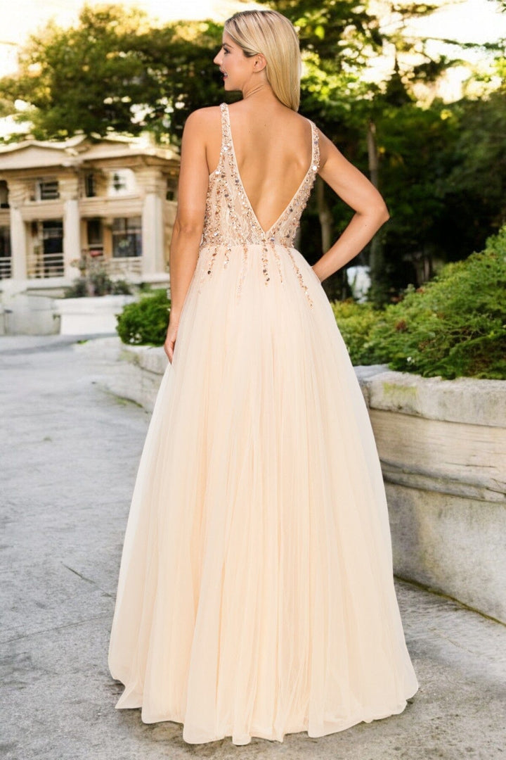 Beaded Long V-Neck Tulle Dress by Cinderella Couture 8034J