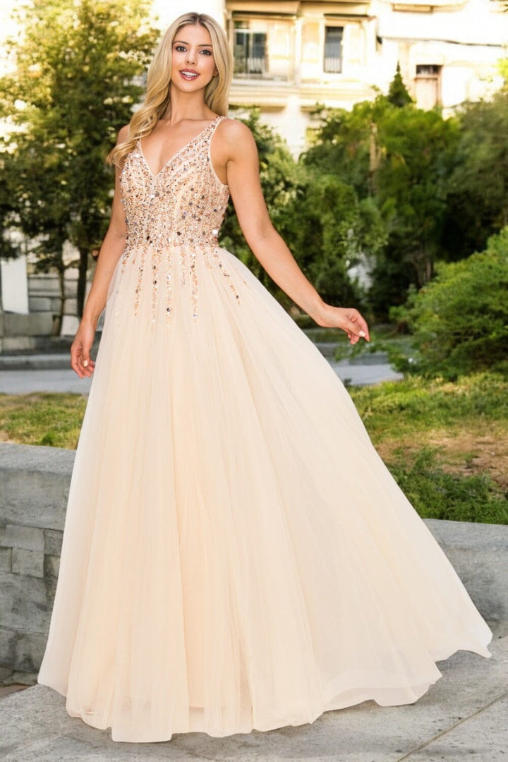 Beaded Long V-Neck Tulle Dress by Cinderella Couture 8034J