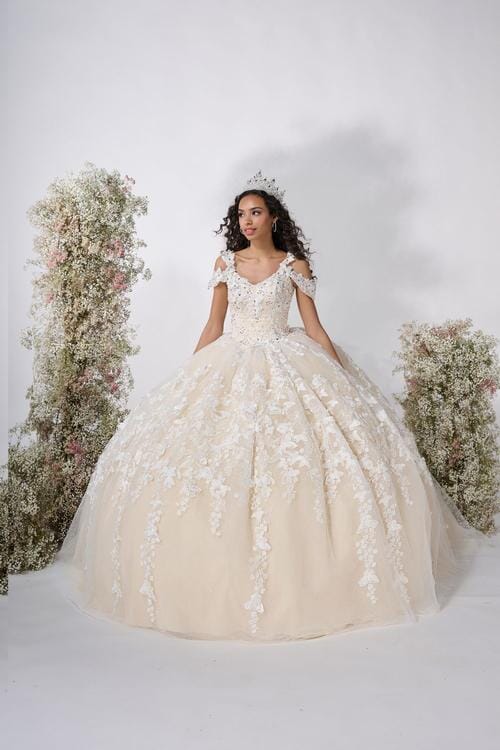 Butterfly Cold Shoulder Quinceanera Dress by Fiesta Gowns 56482