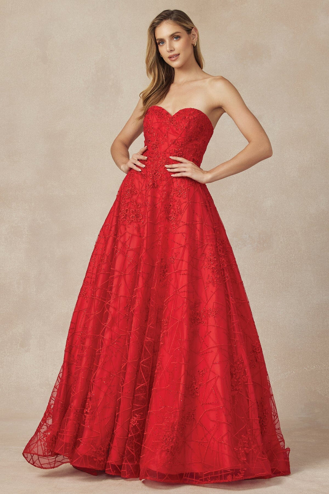 Embroidered Long Strapless Dress by Juliet 692