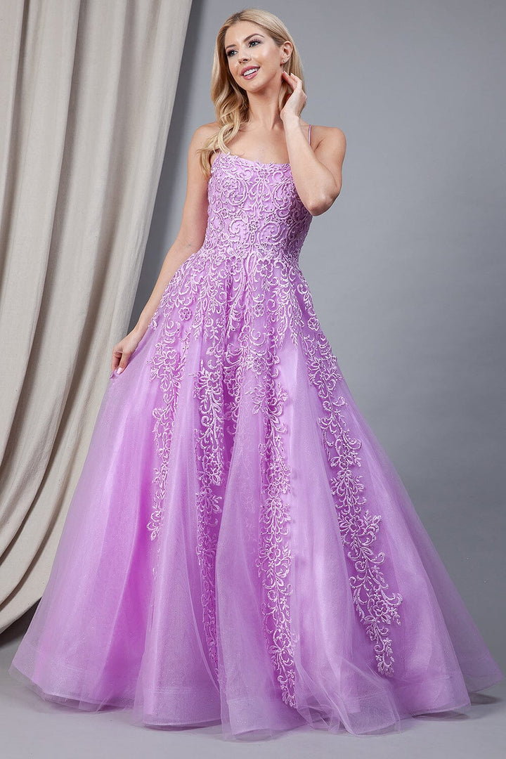 Embroidered Sleeveless Ball Gown by Amelia Couture BZ016