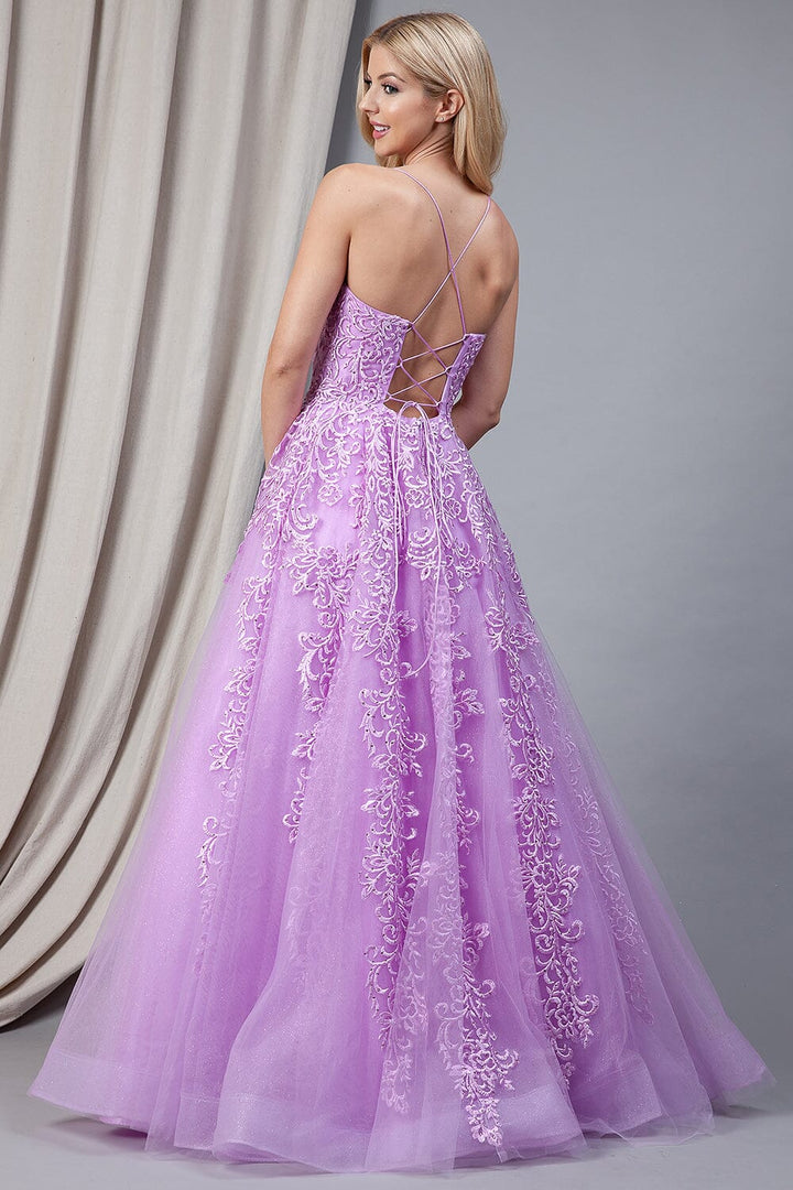 Embroidered Sleeveless Ball Gown by Amelia Couture BZ016