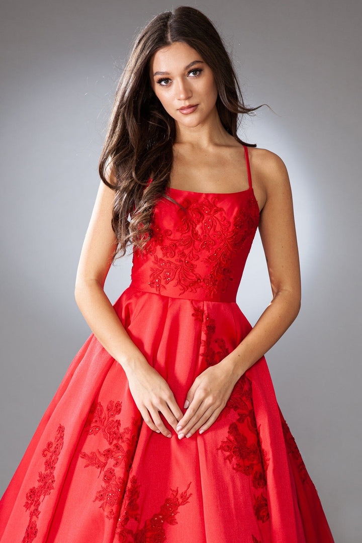 Embroidered Sleeveless Ball Gown by Amelia Couture SU074