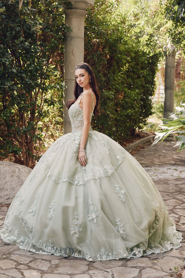 Embroidered Sleeveless Corset Ball Gown by Juliet JT1450J