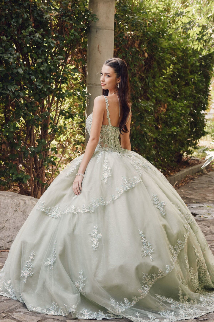 Embroidered Sleeveless Corset Ball Gown by Juliet JT1450J