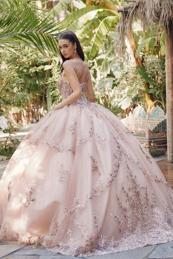 Embroidered Sleeveless Corset Ball Gown by Juliet JT1450J
