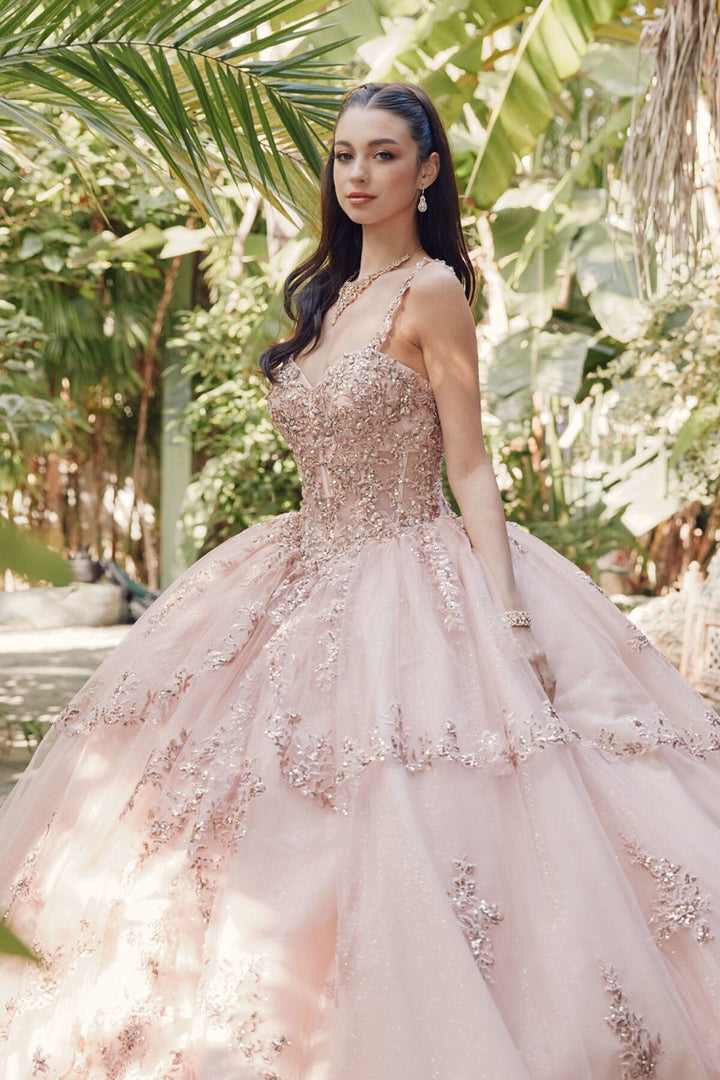 Embroidered Sleeveless Corset Ball Gown by Juliet JT1450J