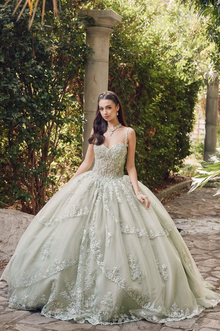 Embroidered Sleeveless Corset Ball Gown by Juliet JT1450J
