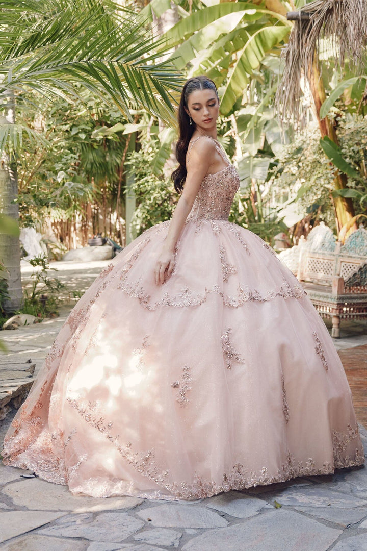 Embroidered Sleeveless Corset Ball Gown by Juliet JT1450J