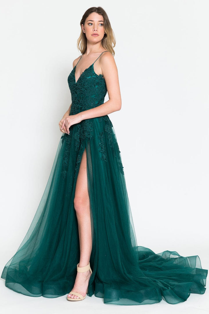 Embroidered V-Neck Slit Gown by Amelia Couture BZ014