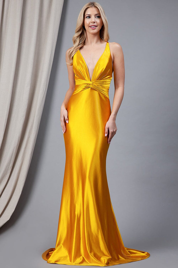 Fitted Sleeveless V-Neck Gown by Amelia Couture 5039