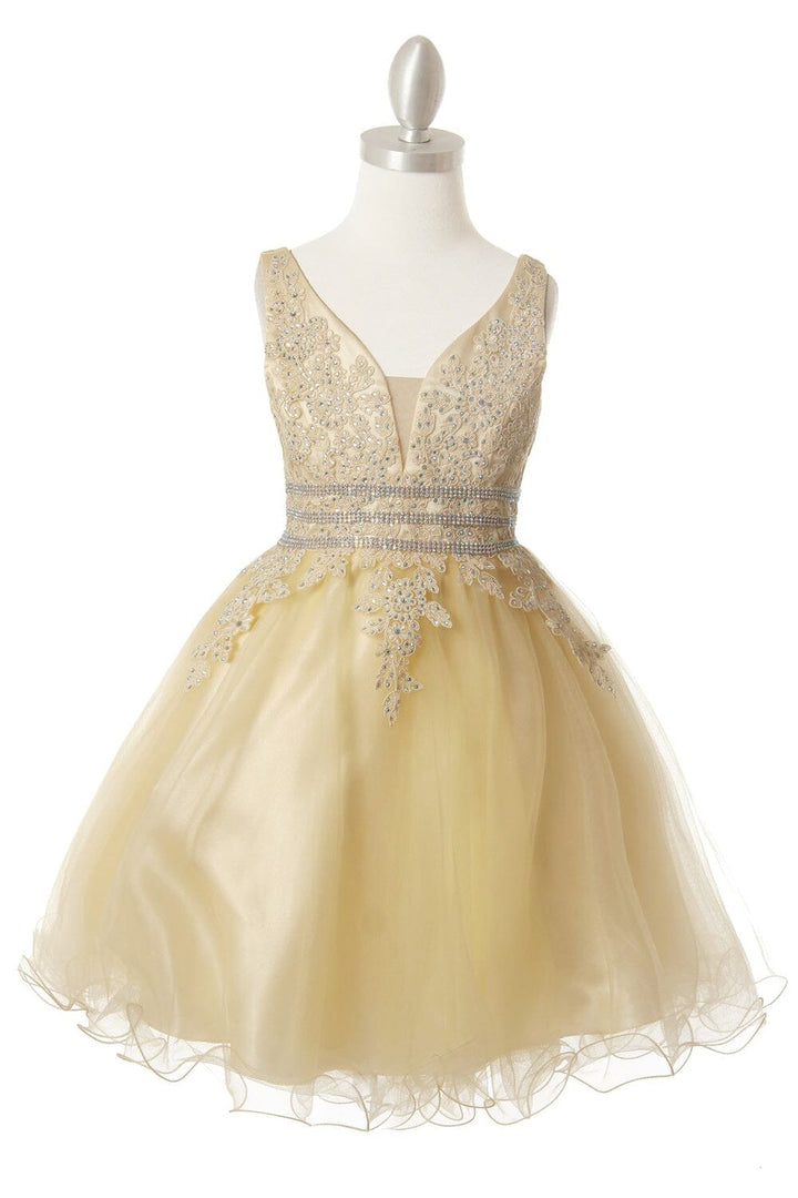Girls Beaded Short Ruffled V-Neck Dress 5081
