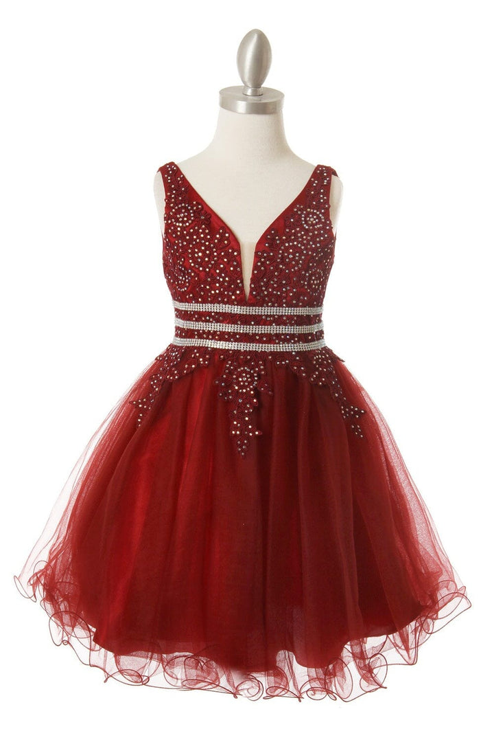 Girls Beaded Short Ruffled V-Neck Dress 5081