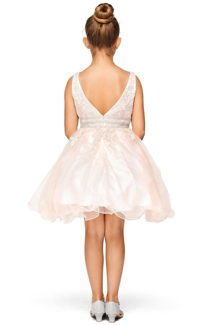 Girls Beaded Short Ruffled V-Neck Dress 5081