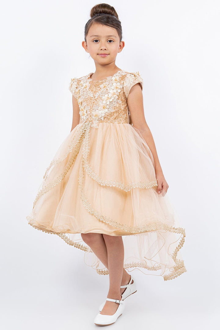 Girls Cap Sleeve High Low Dress by Cinderella Couture 9123
