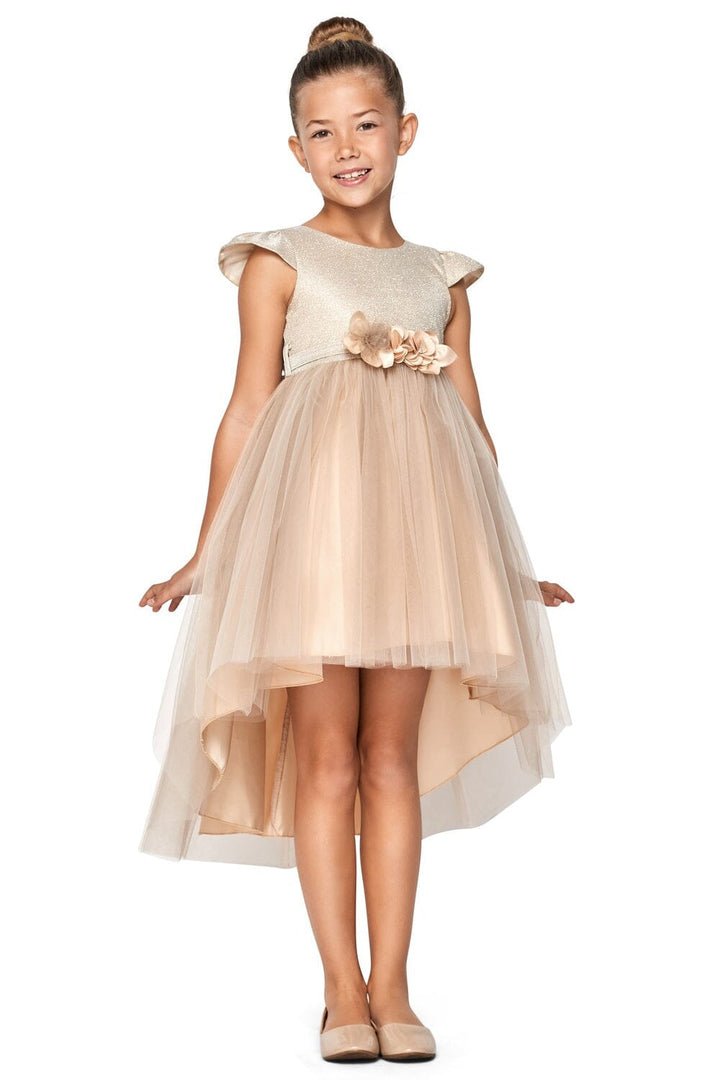 Girls High Low Dress with Glitter Top by Cinderella Couture 5072