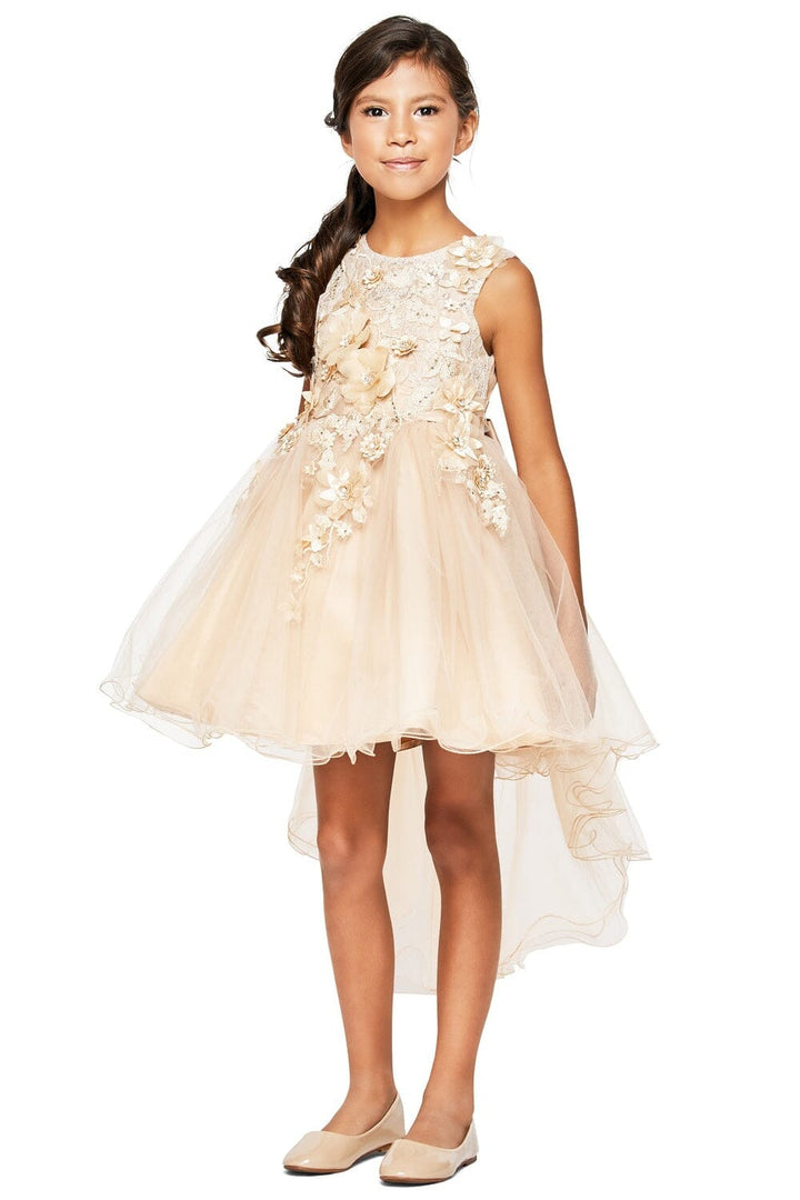 Girls High Low Tulle Dress with 3D Flowers by Cinderella Couture 9038