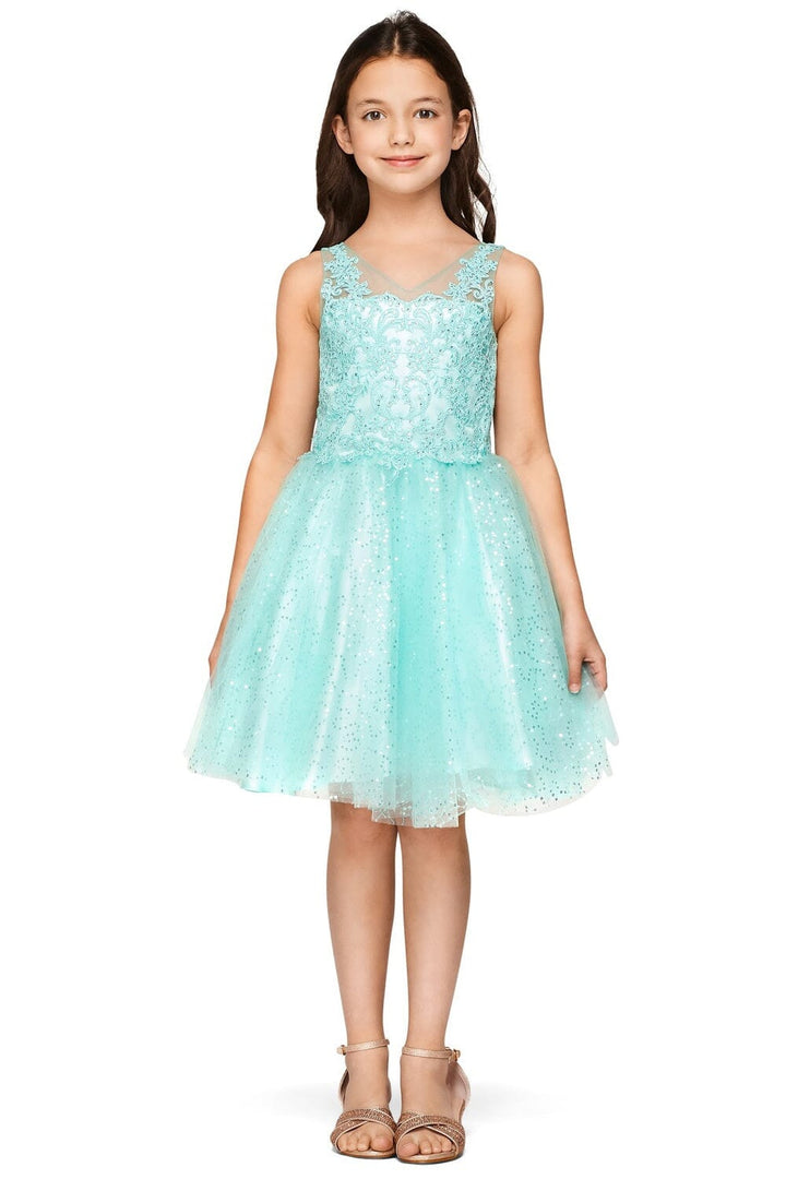 Girls Short Embroidered V-Neck Dress by Cinderella Couture 5088
