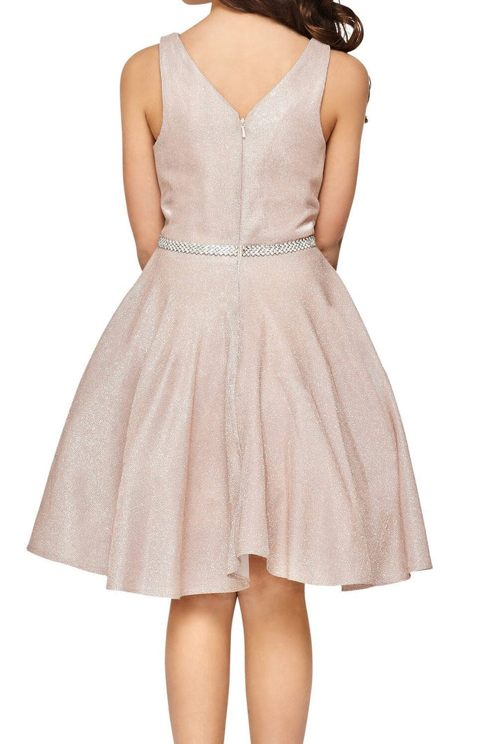 Girls Short Metallic V-Neck Dress by Cinderella Couture 8013