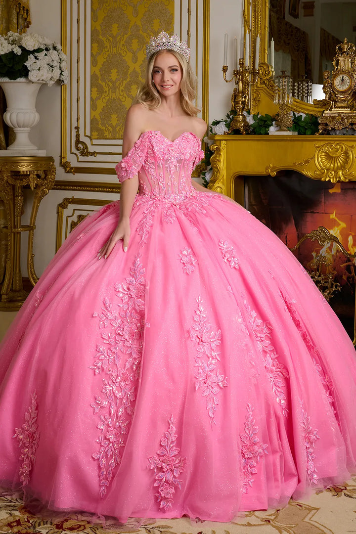 Off Shoulder Ball Gown by Elizabeth K GL3635