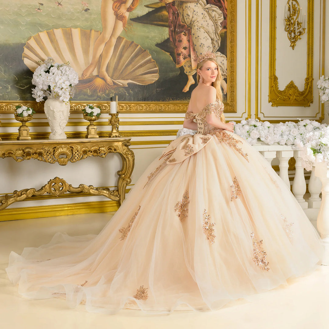 Off Shoulder Ball Gown by Elizabeth K GL3816