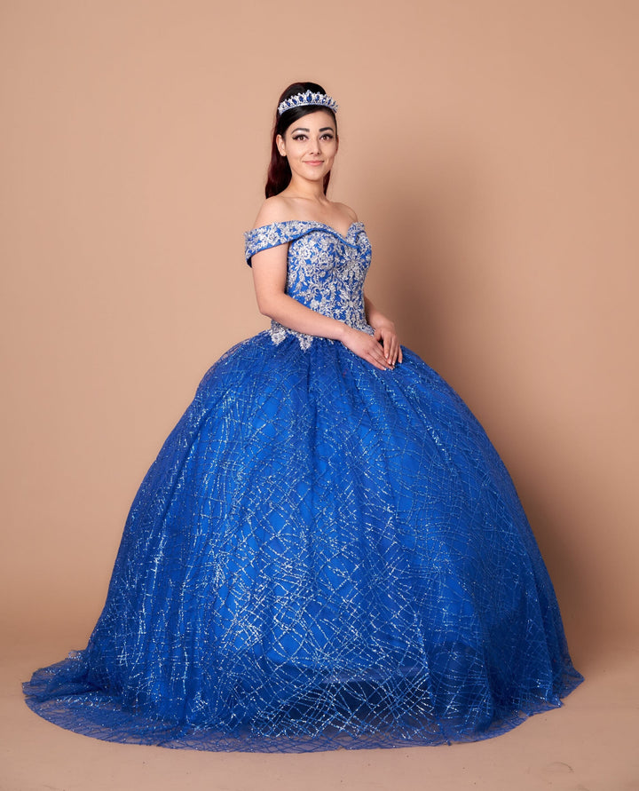 Glitter Print Off Shoulder Ball Gown by Calla WB-20509
