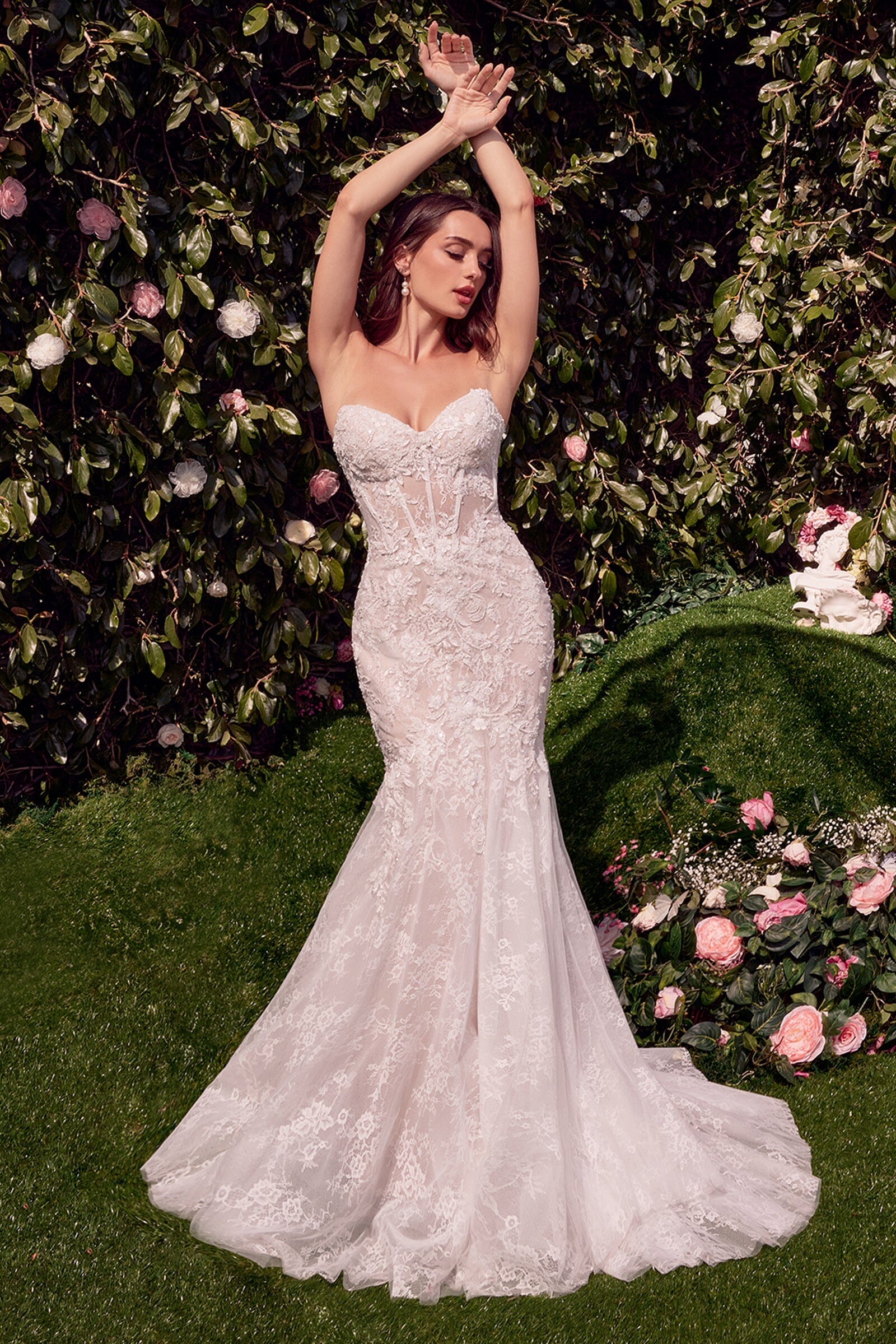 Lace Corset Mermaid Bridal Gown by Ladivine WL031 – ABC Fashion
