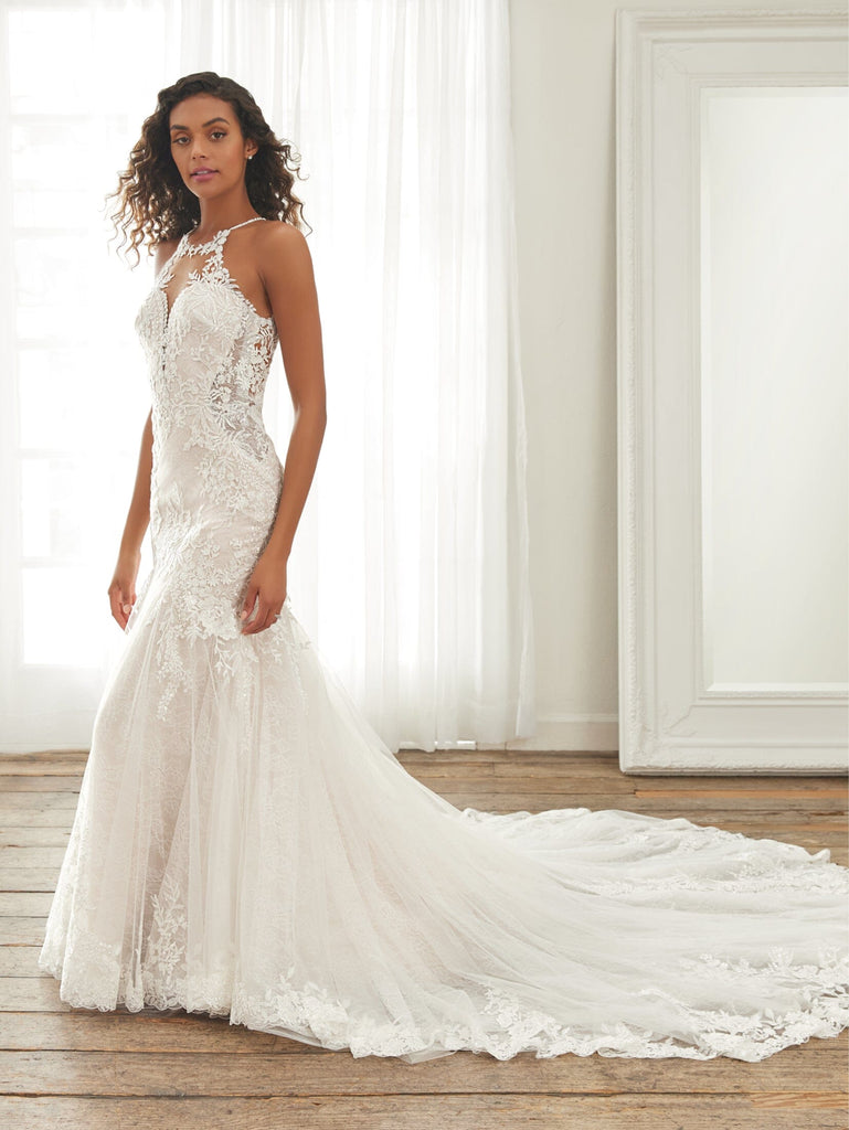 Lace Halter Mermaid Bridal Gown by Adrianna Papell 31226 – ABC Fashion